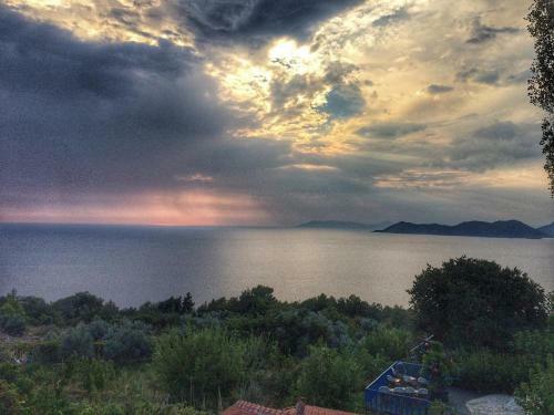 Hostal Faralya Yoruk Evi Hotel