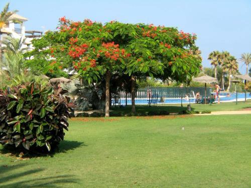 Apartamento Venavera Playa Jardines E4-1b