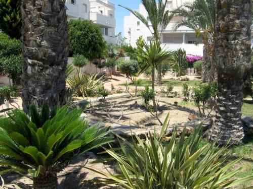 Apartamento Vera Playa Dragos5