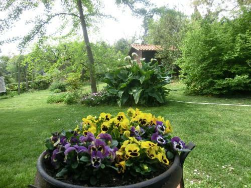 B&B Lieti Colli
