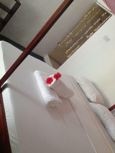 Bed & Breakfast Little David Lodge