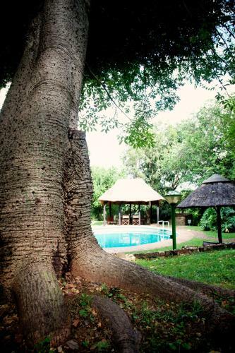 Lep�ll� Lodge