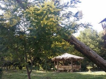 Hotel Tropikal Resort