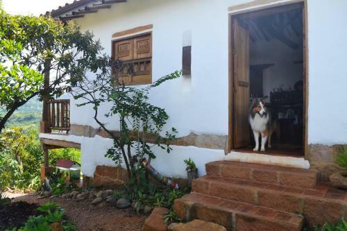 Bed & Breakfast Zuasinca