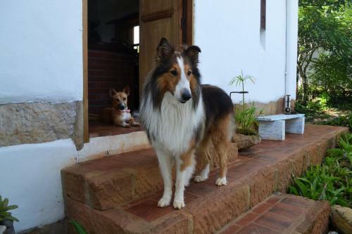 Bed & Breakfast Zuasinca