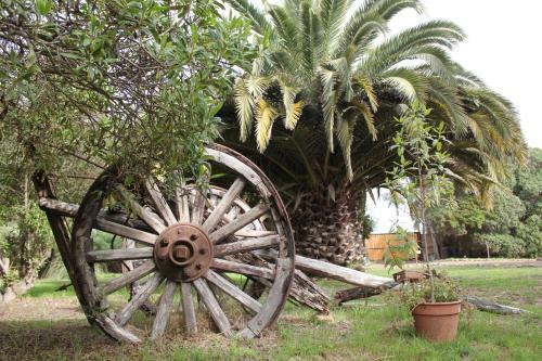 Hostal El Arbol Beach