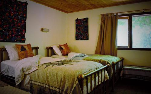Hostal Panihouse