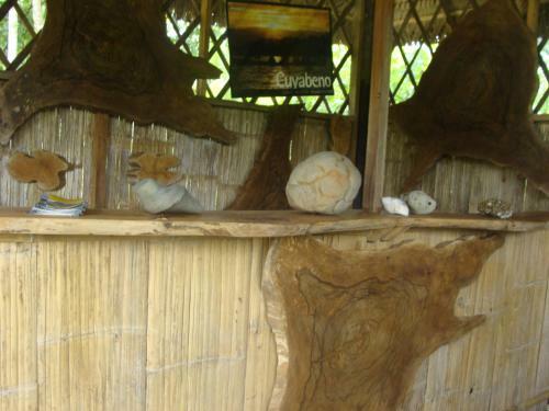 Hotel Shaman Lodge