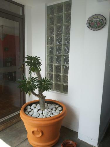 Omar B&B