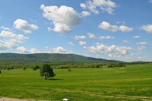 Bed & Breakfast Vis Velika
