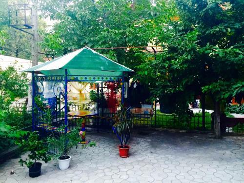 Amazing Ionika Hostel