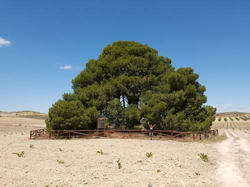 Agroturismo Cortijo de Los Castellanos