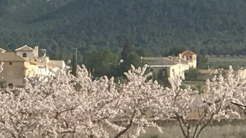 Agroturismo Cortijo de Los Castellanos