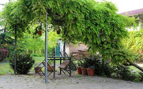 Agroturismo La Volpe E L'uva