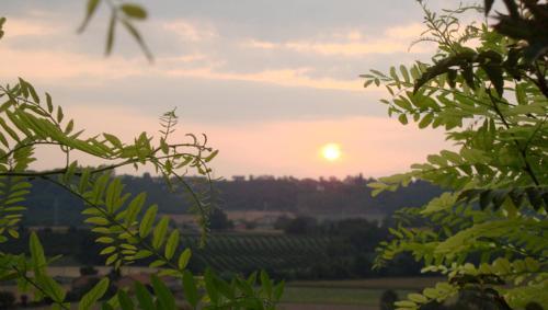 Agroturismo La Volpe E L'uva