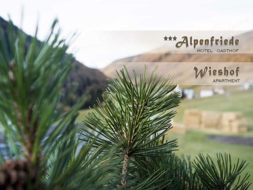 Apartamento Wieshof