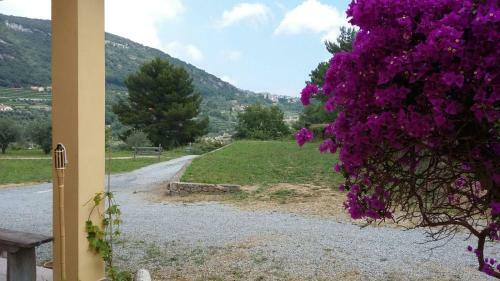 Bed & Breakfast I Campi Di Lino