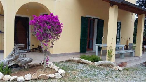 Bed & Breakfast I Campi Di Lino