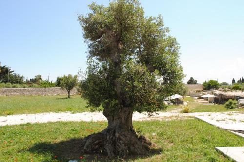 Masseria Gelsi B&B And Events