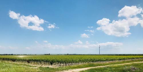 Hostal Masseria Nel Sole