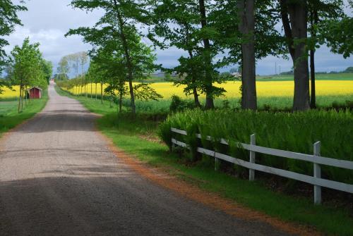 Bed & Breakfast M�nstorps G�rd