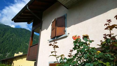 Apartamento Appartamento Felce