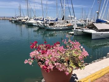Hotel Marina