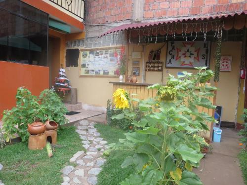 Bed & Breakfast Pachakusi Hostel