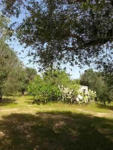 Apartamento Corte Dei Messapi