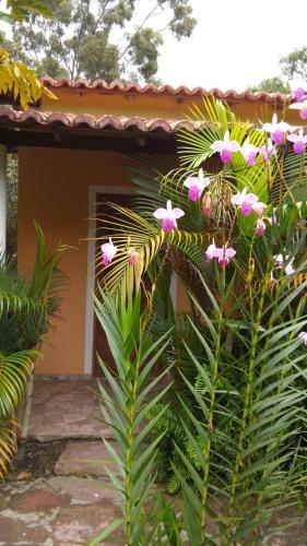 Hostal Pousada Lirio Do Vale