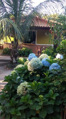Hostal Pousada Lirio Do Vale