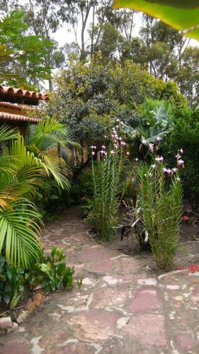 Hostal Pousada Lirio Do Vale