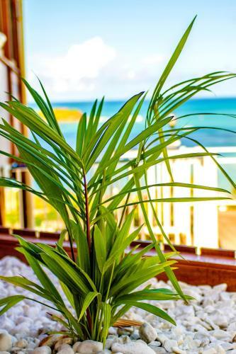 Hotel Le Manguier