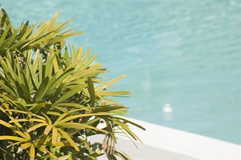 Palm Garden Hotel