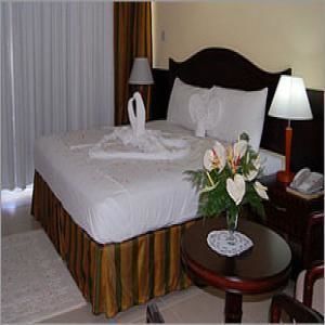 Palm Haven Hotel