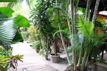 Hotel Tonsak Resort