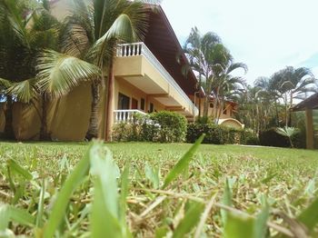 Hotel Delfin Beachfront Resort
