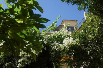 Riad Ryad Salama