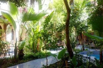 Riad Ryad Salama