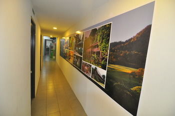 Backpacker's Stay - Hostel