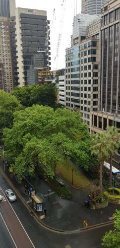Carrington Sydney City Centre Apartments
