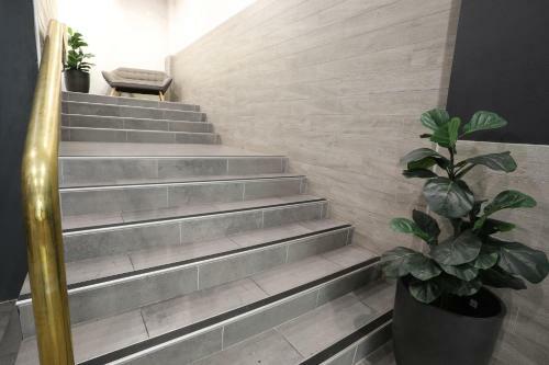 Carrington Sydney City Centre Apartments