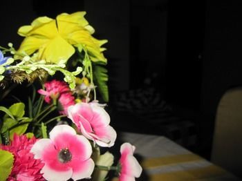 Hotel Paradise Resort