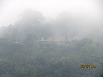 Hotel Paradise Resort