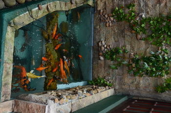 Hotel Paradise Resort