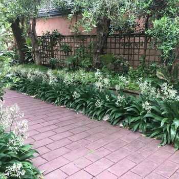 Bed & Breakfast Orewa Beachside