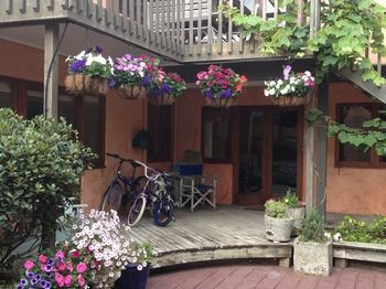 Bed & Breakfast Orewa Beachside