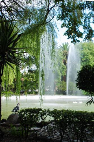 Hotel Parque M�xico