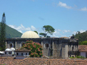 Hotel Las Camelias Inn