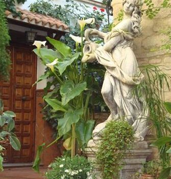 Apartamentos Embrujo De Azahar